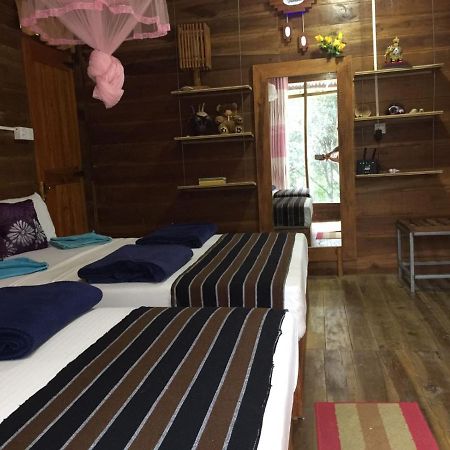 Ella Nature Nest Luaran gambar