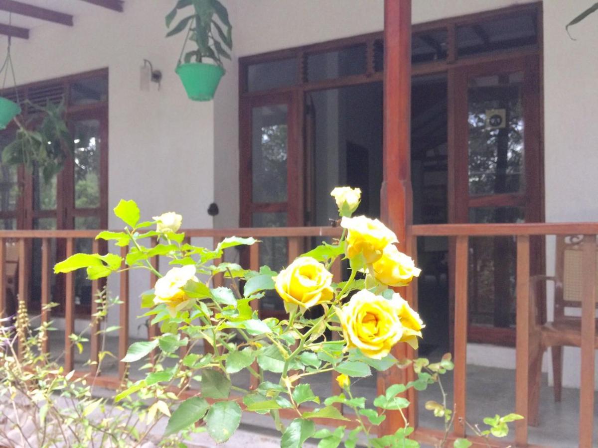 Ella Nature Nest Luaran gambar