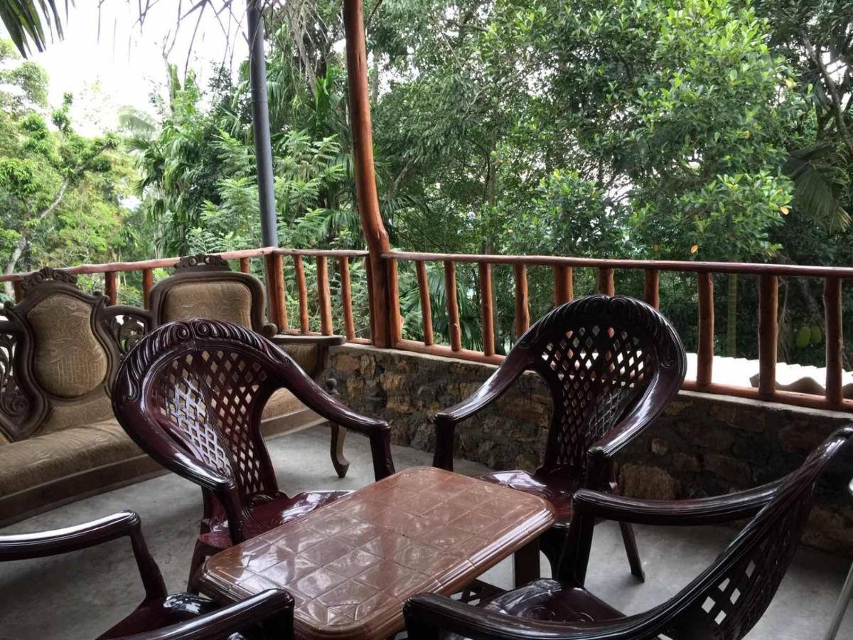 Ella Nature Nest Luaran gambar