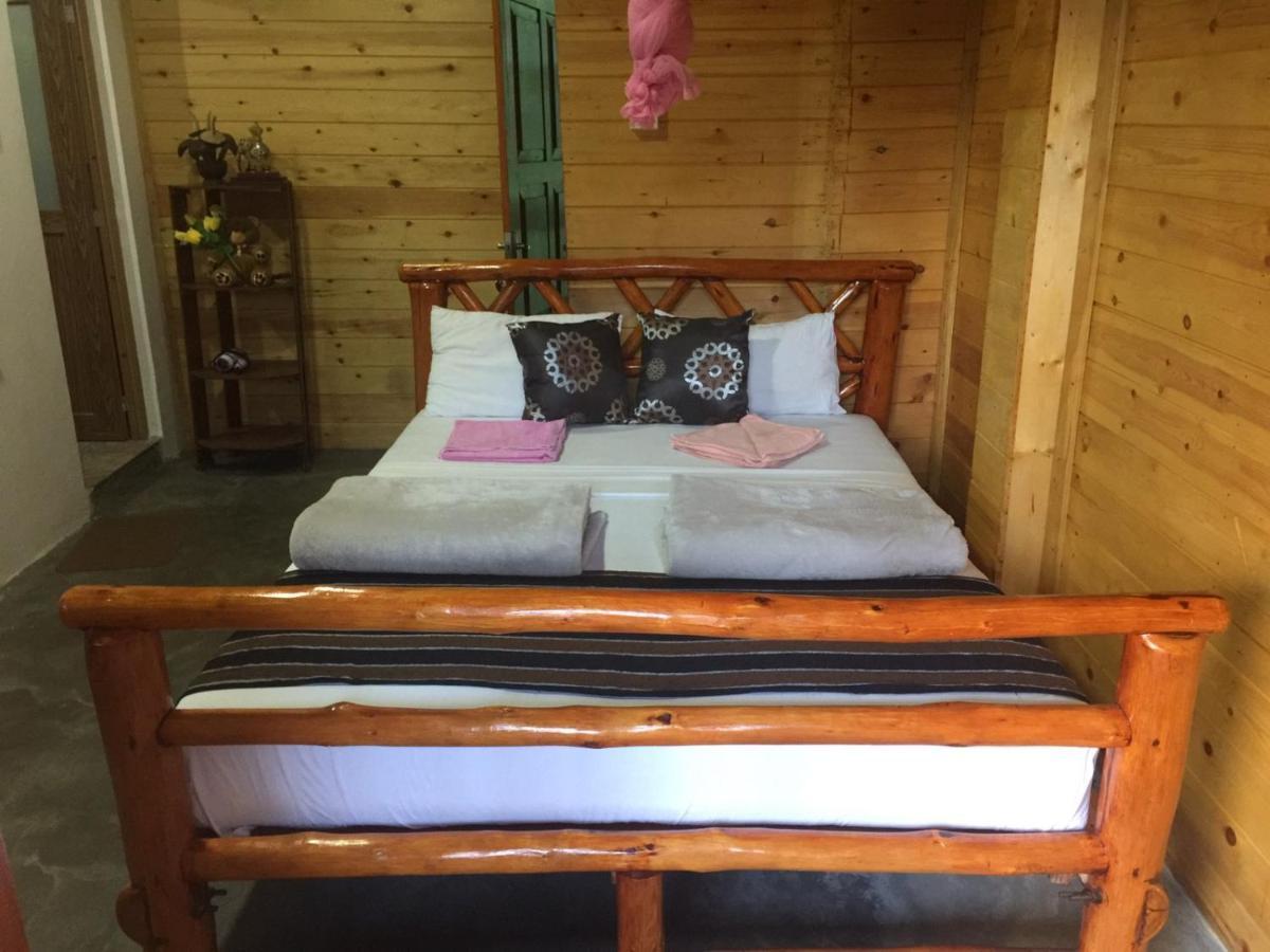 Ella Nature Nest Luaran gambar