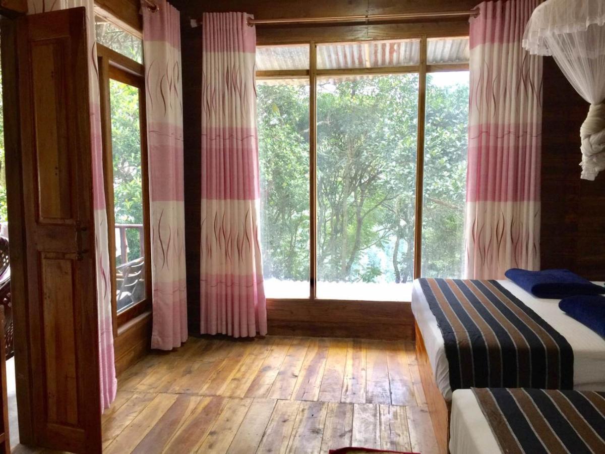 Ella Nature Nest Luaran gambar