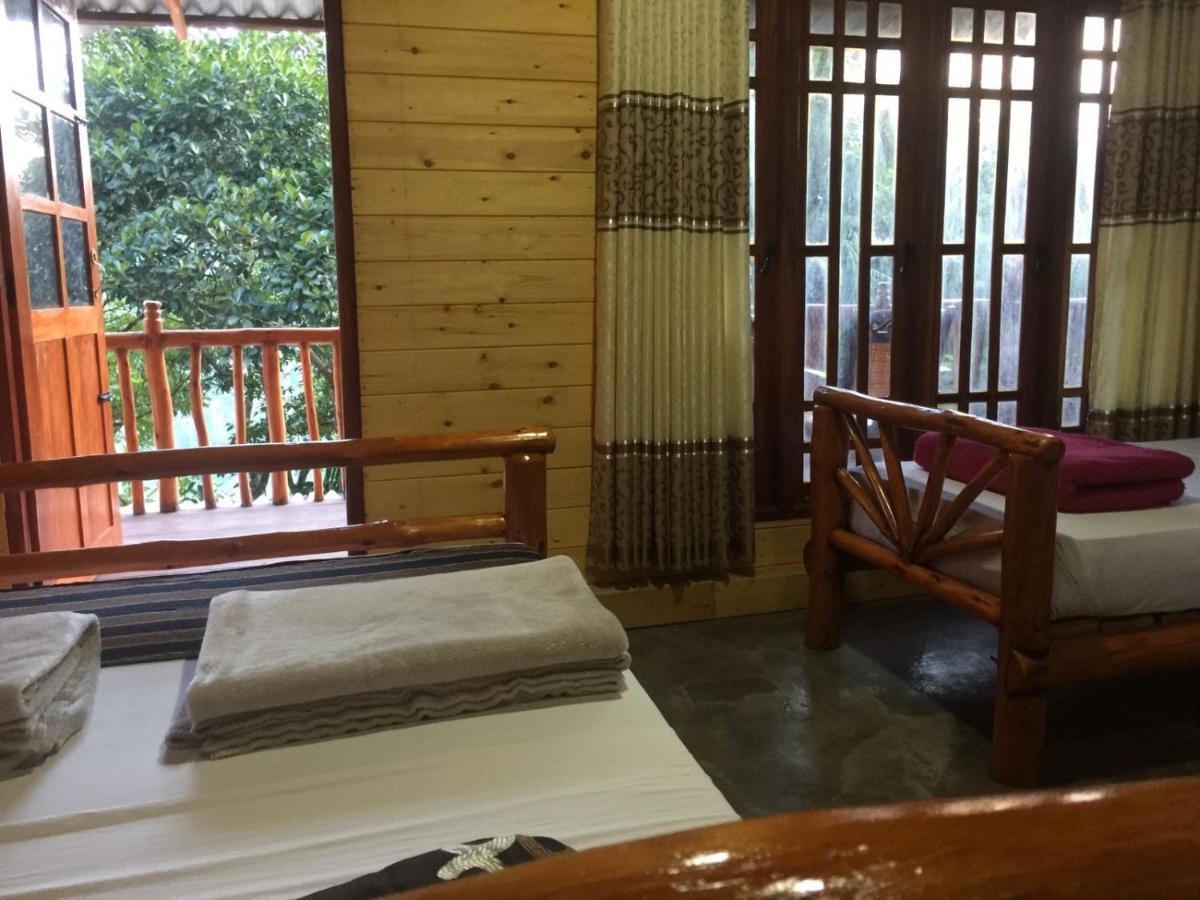 Ella Nature Nest Luaran gambar