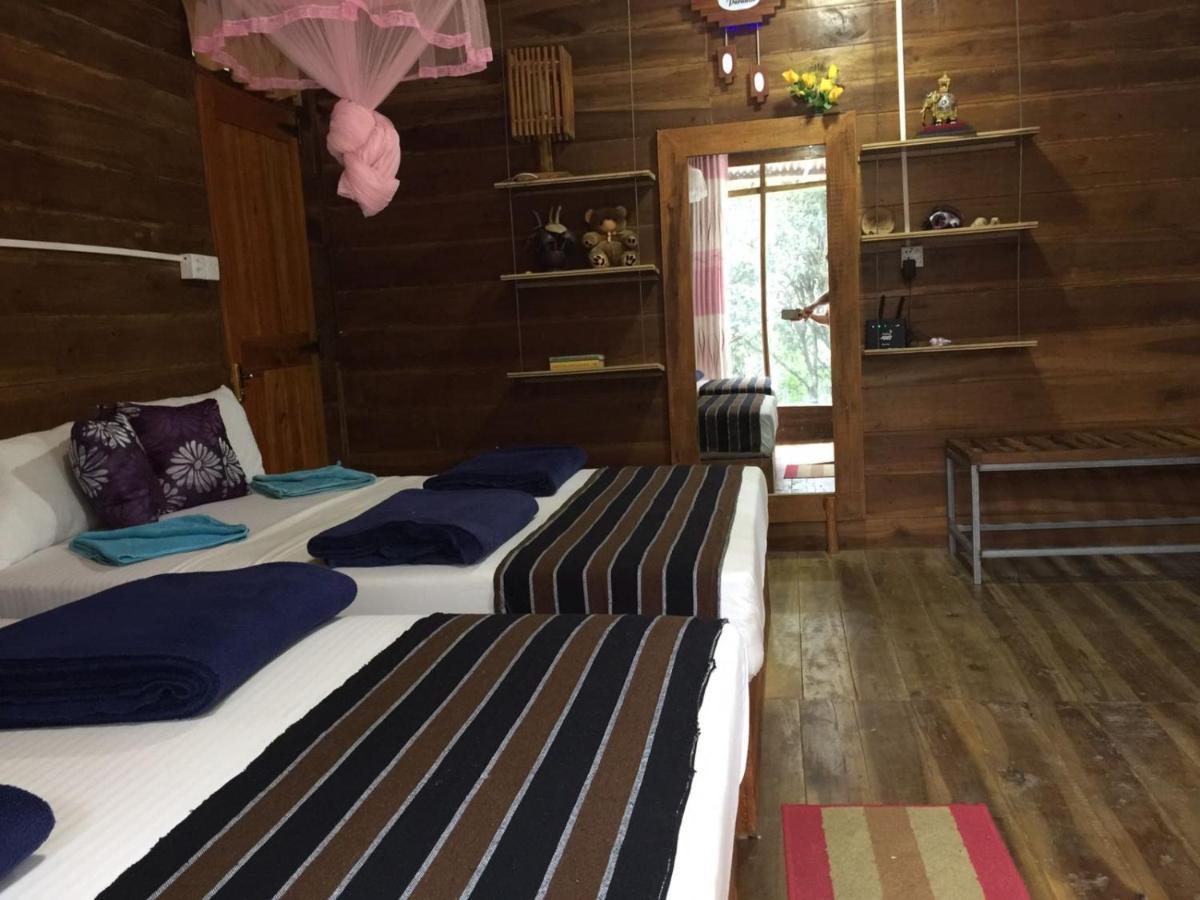 Ella Nature Nest Luaran gambar