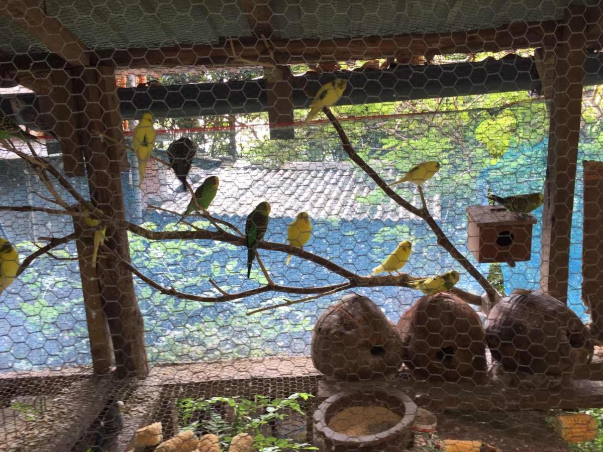 Ella Nature Nest Luaran gambar