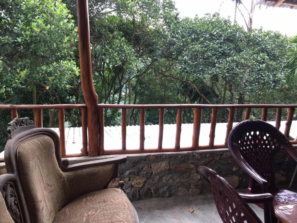 Ella Nature Nest Luaran gambar
