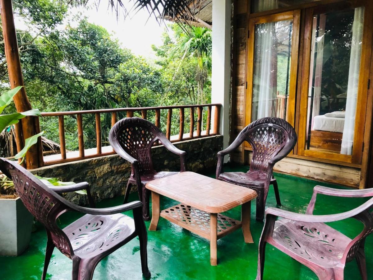 Ella Nature Nest Luaran gambar
