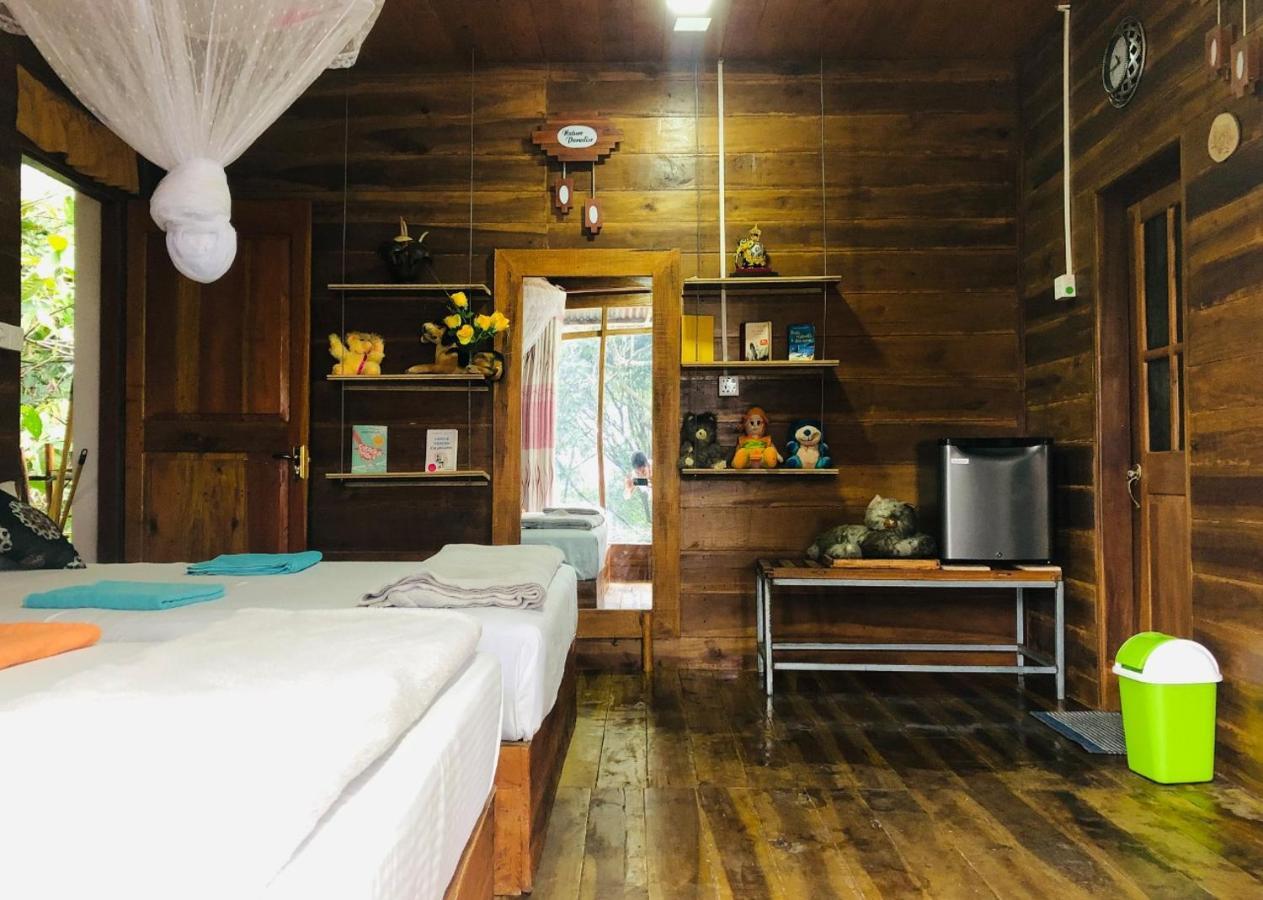 Ella Nature Nest Luaran gambar