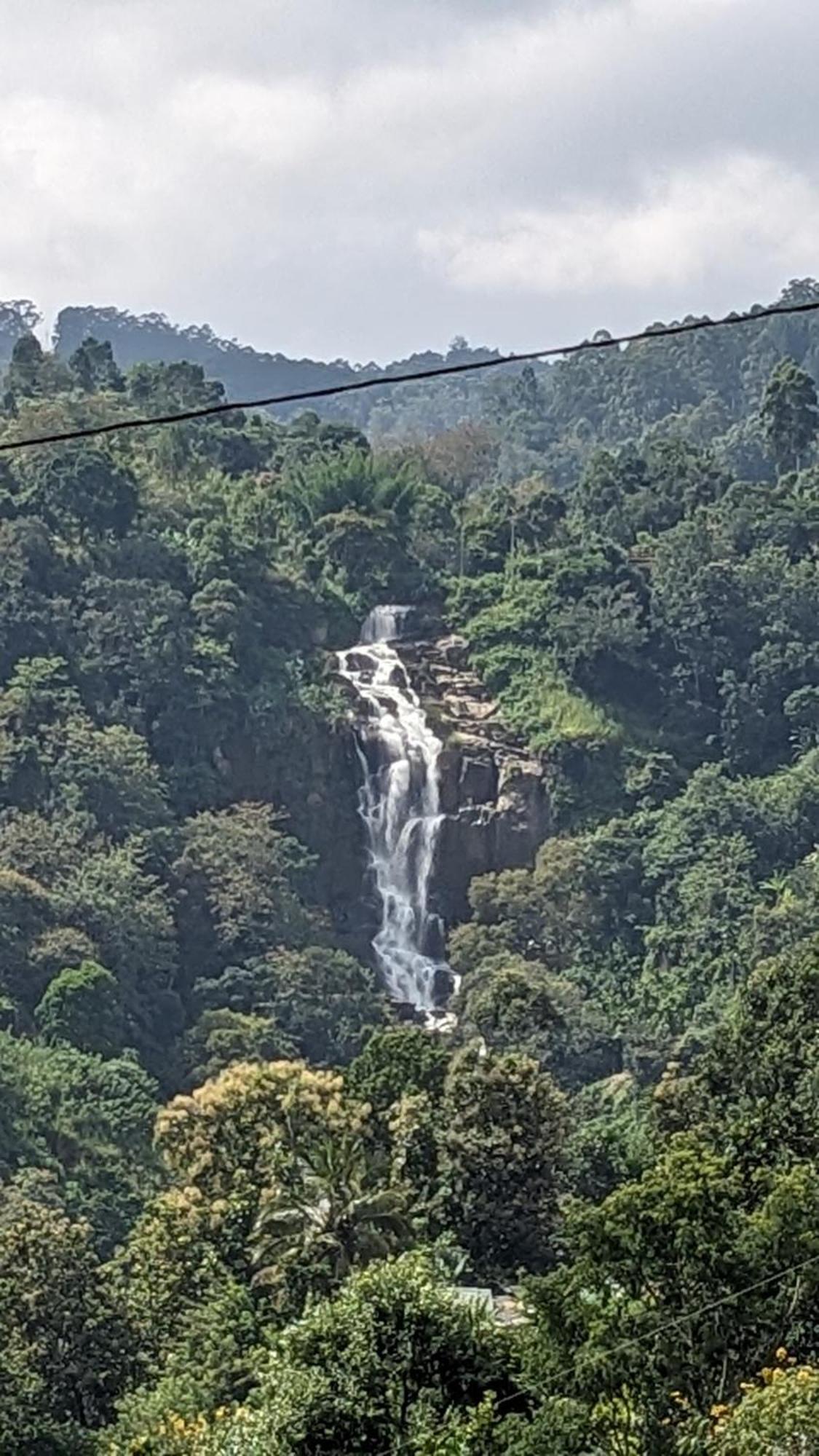 Ella Nature Nest Luaran gambar