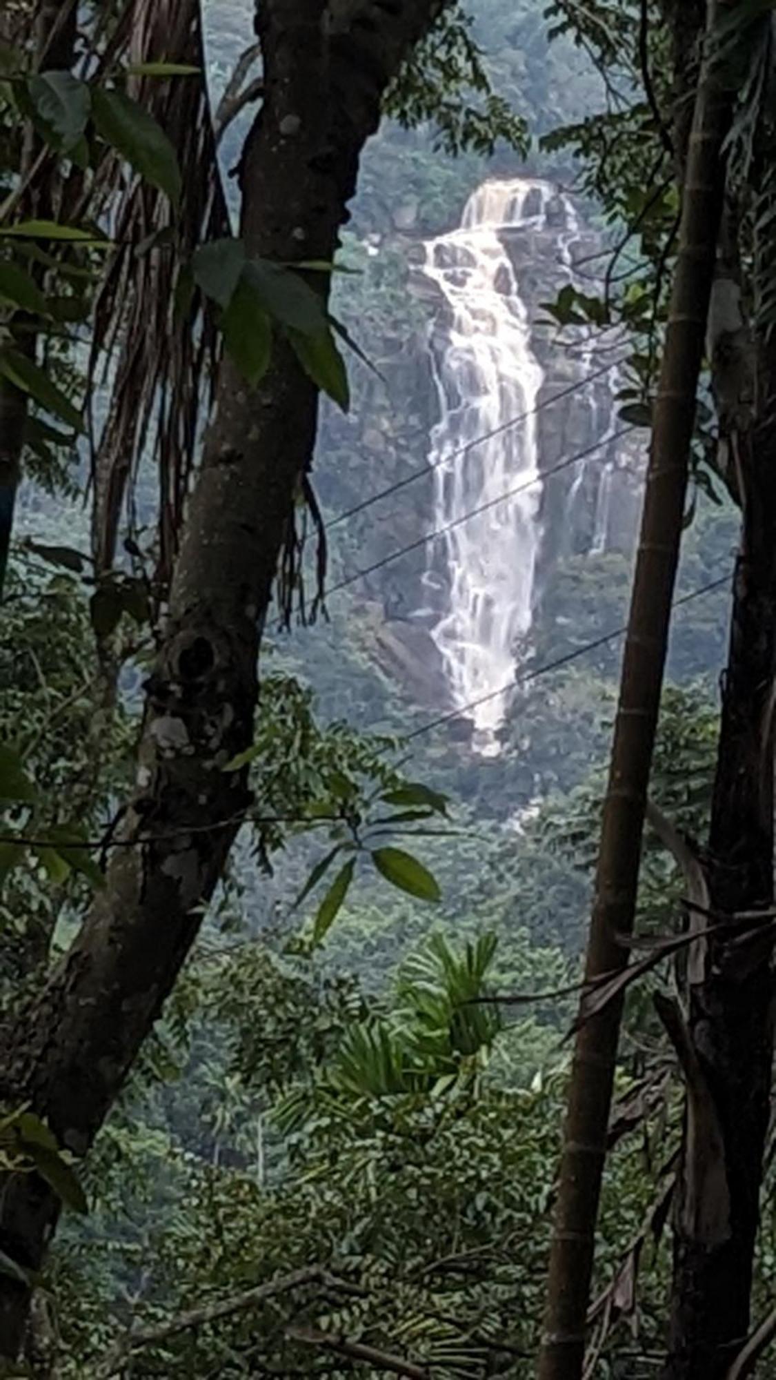Ella Nature Nest Luaran gambar