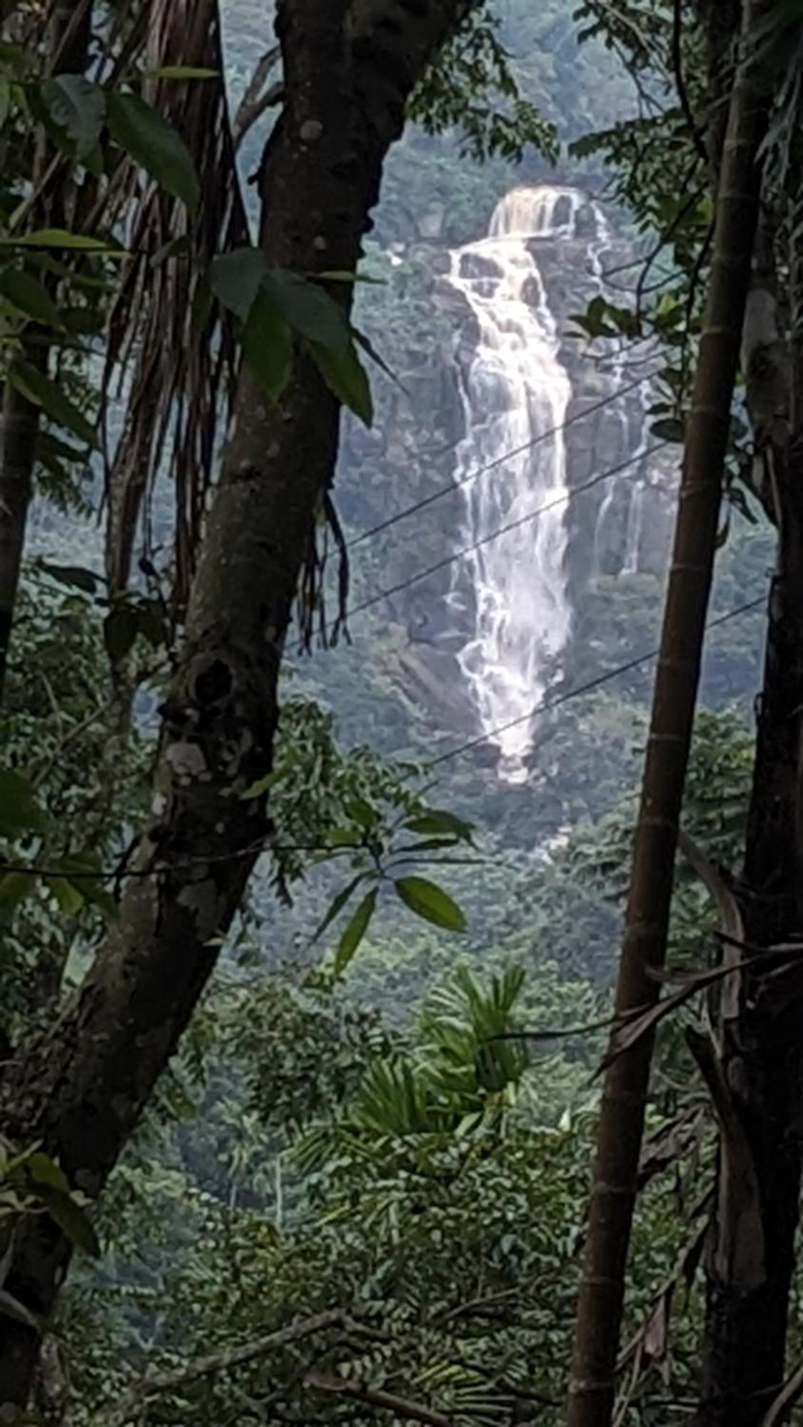 Ella Nature Nest Luaran gambar