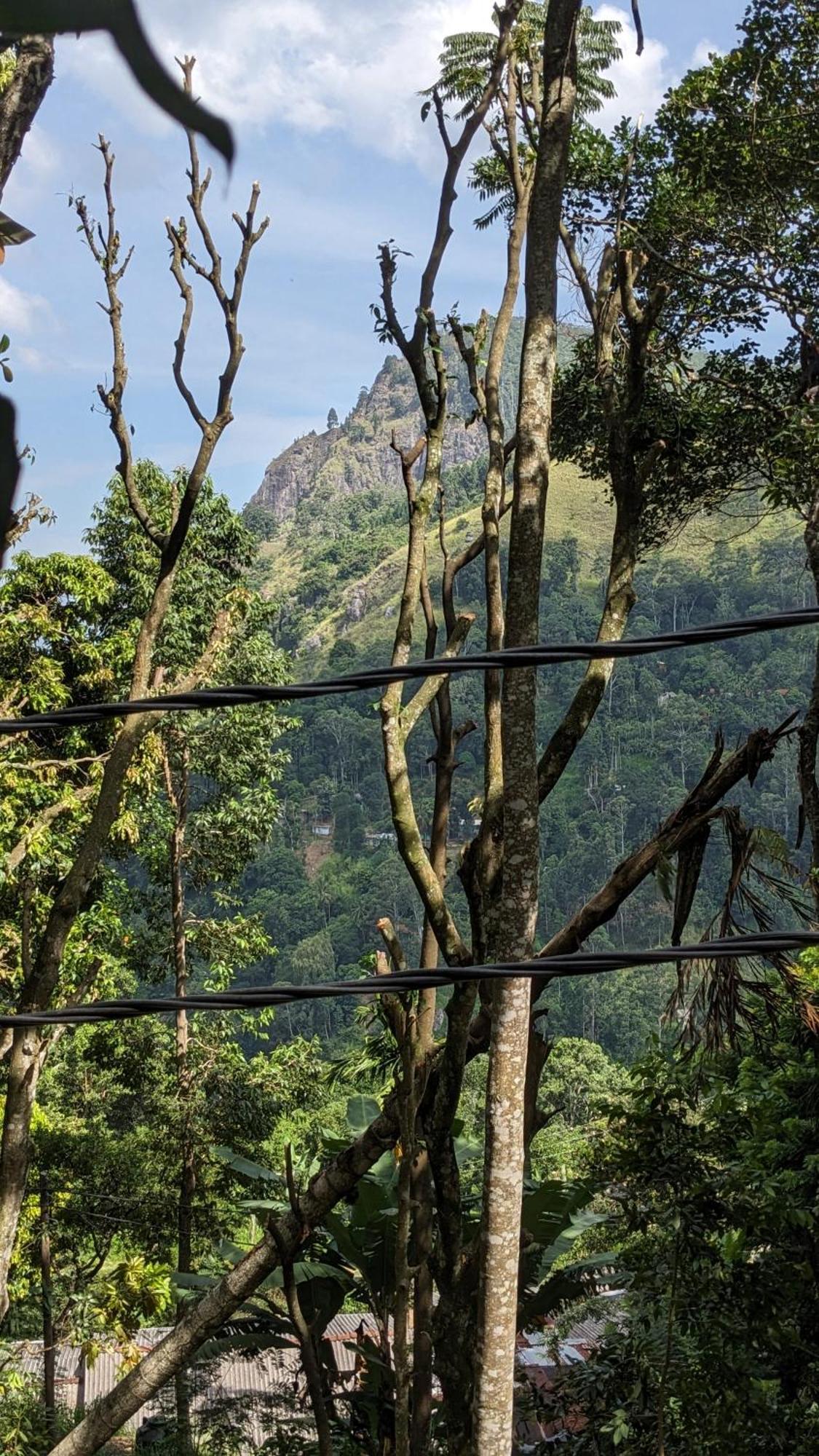 Ella Nature Nest Luaran gambar