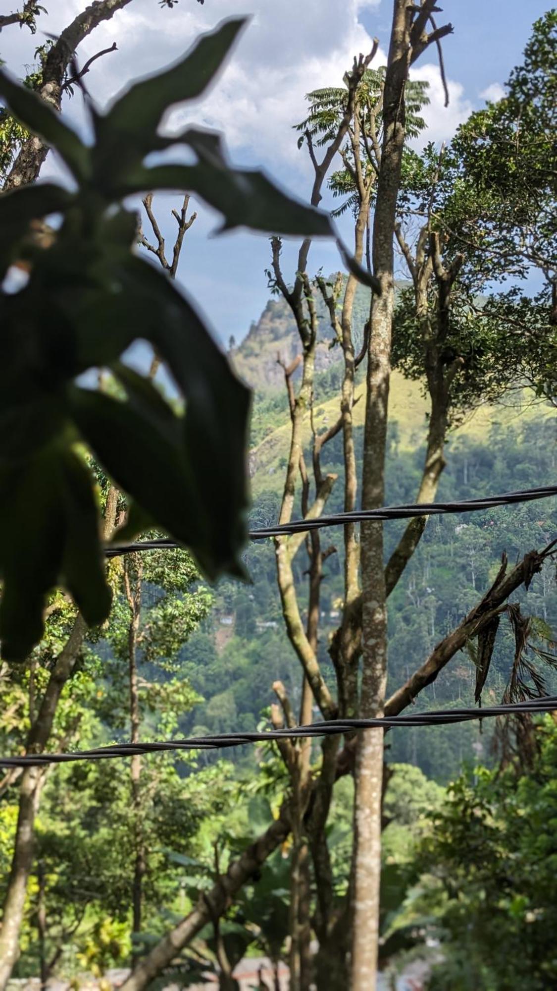 Ella Nature Nest Luaran gambar