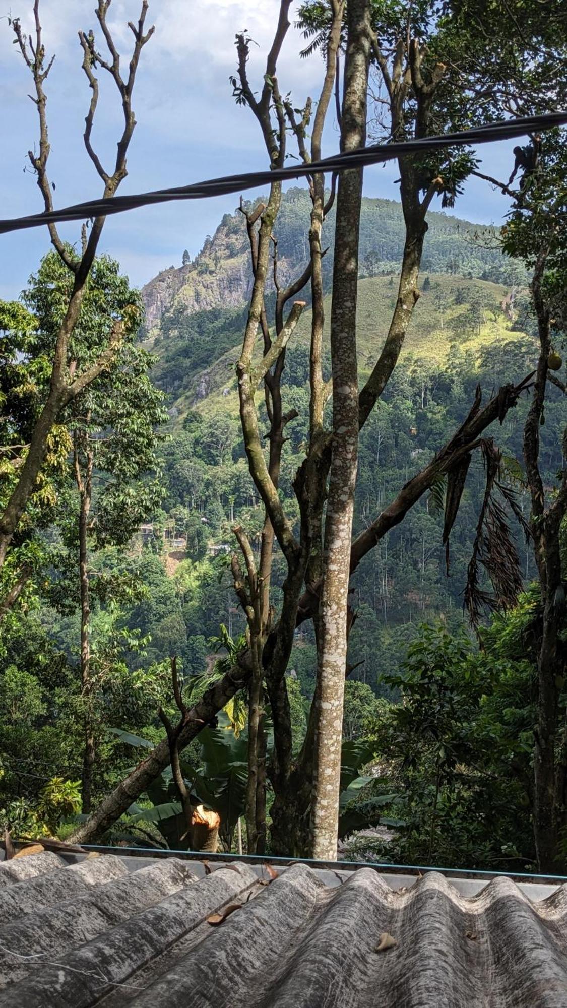 Ella Nature Nest Luaran gambar