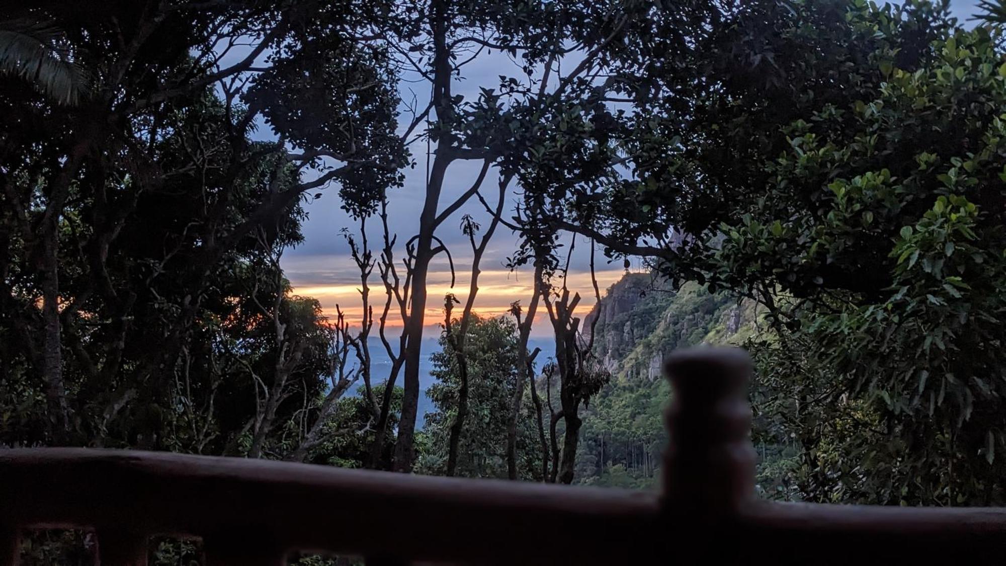 Ella Nature Nest Luaran gambar