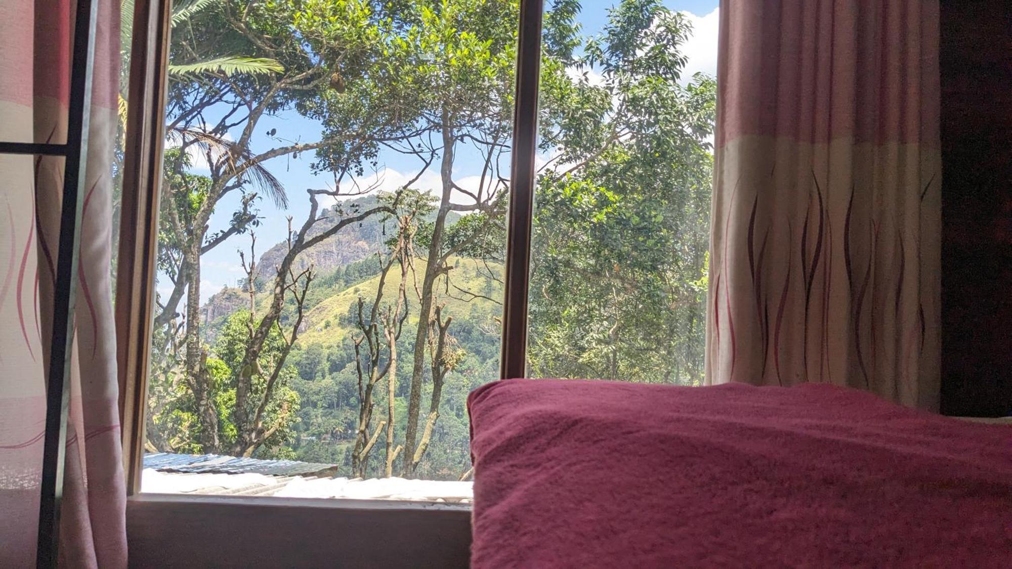 Ella Nature Nest Luaran gambar