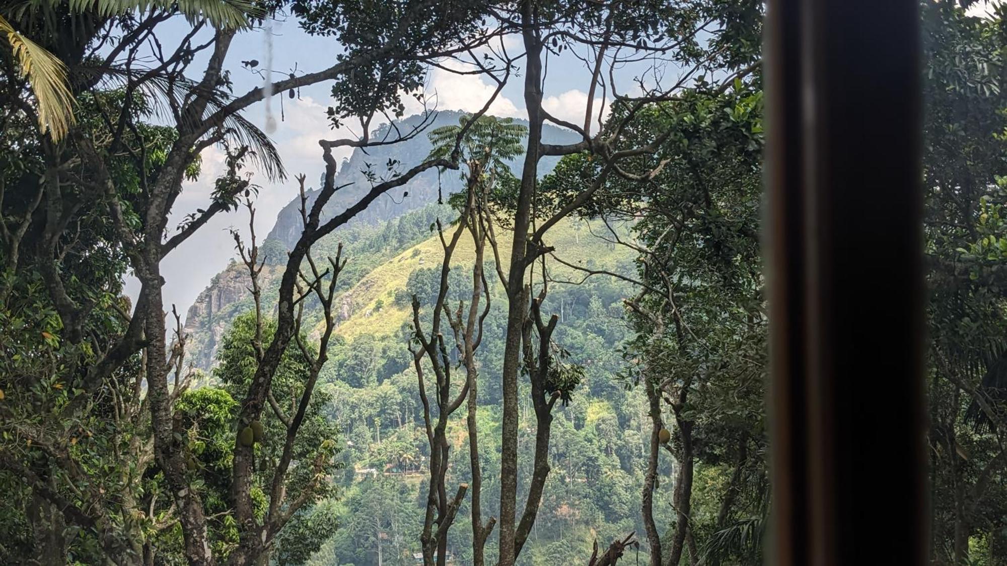 Ella Nature Nest Luaran gambar