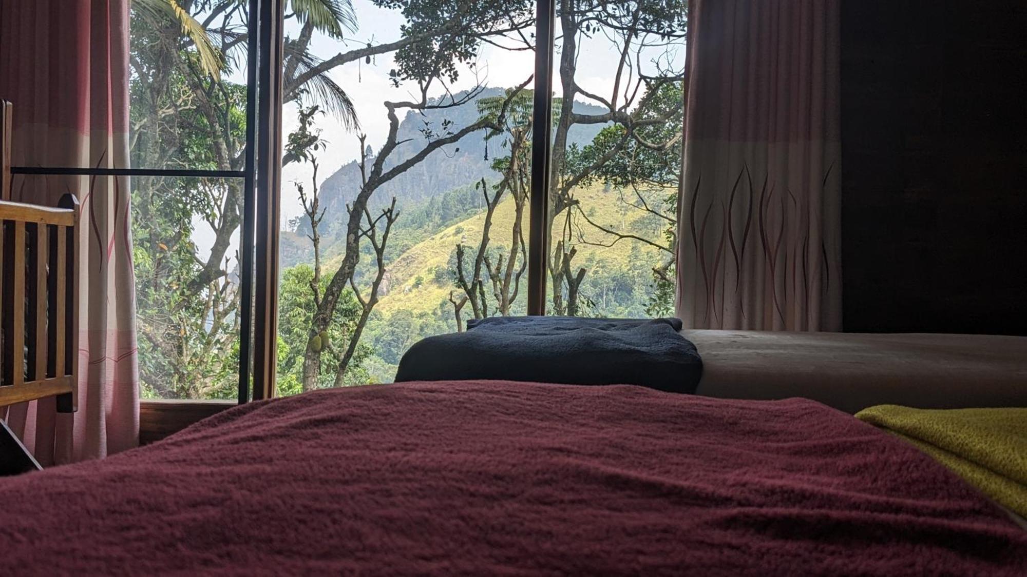 Ella Nature Nest Luaran gambar