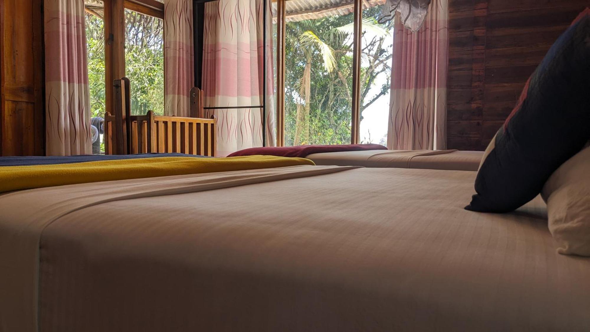 Ella Nature Nest Luaran gambar