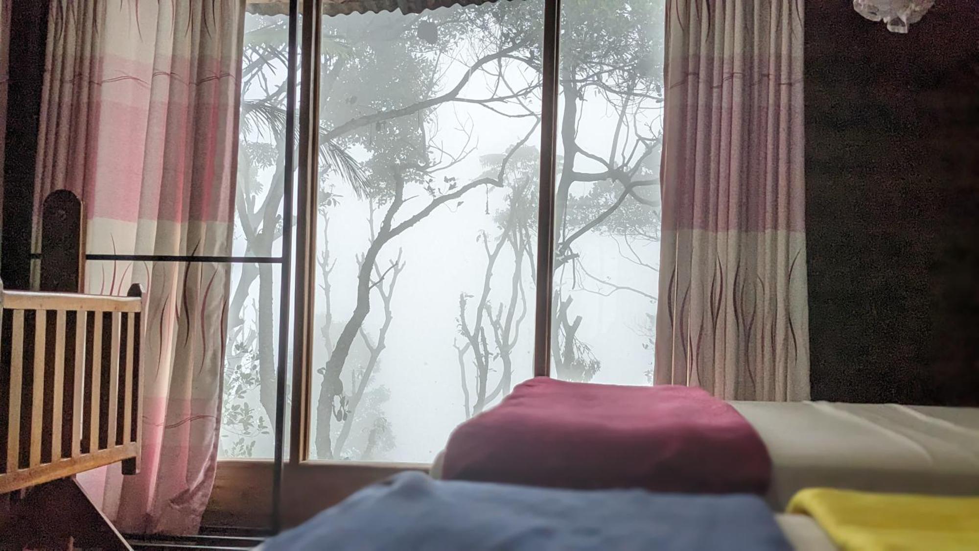 Ella Nature Nest Luaran gambar