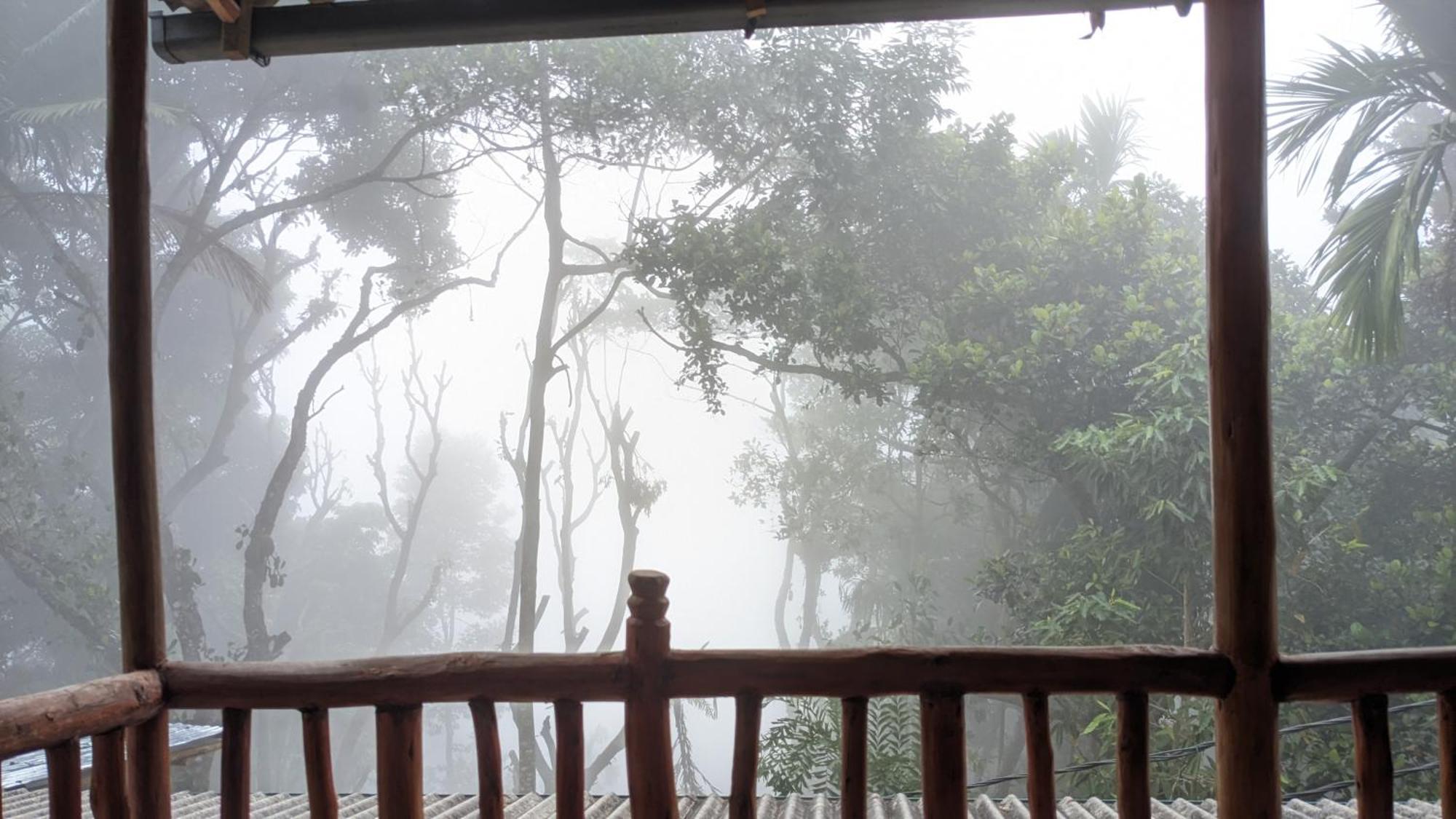 Ella Nature Nest Luaran gambar