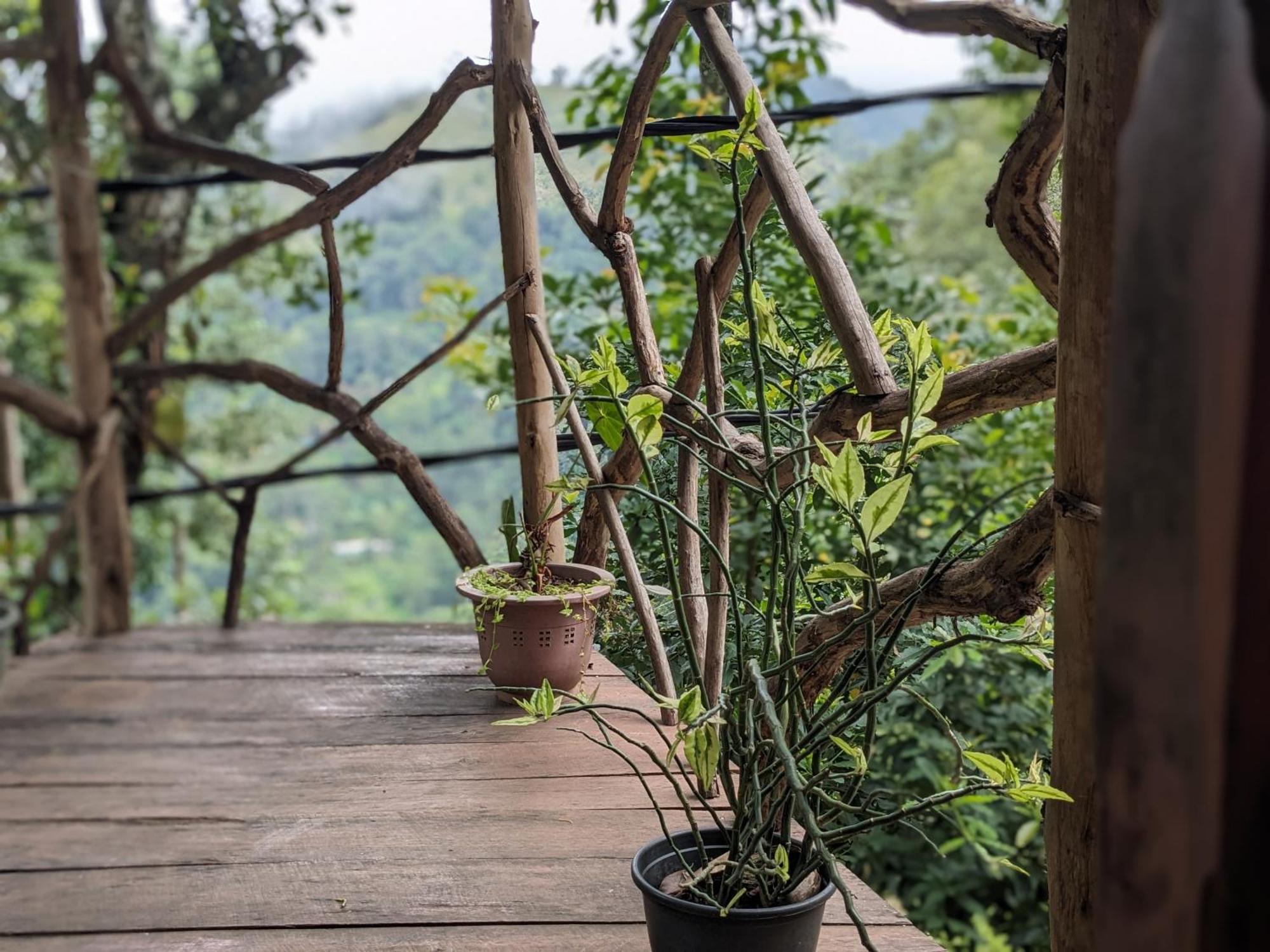 Ella Nature Nest Luaran gambar